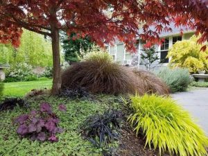 outdoor garden