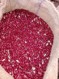 Lal Rajma