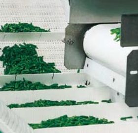 Plastic Modular Belts