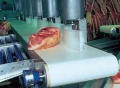Food Grade Conveyor Belts