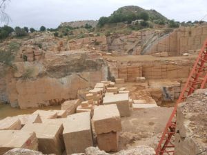 forest brown marble Blocks