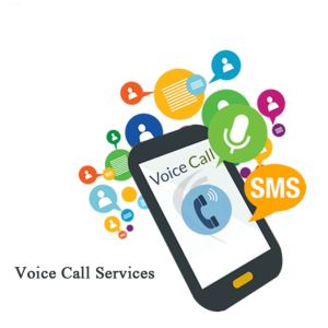 Voice Call Marketing Service