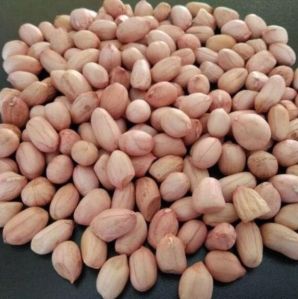 100/120 Java Groundnut Kernel