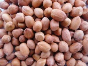 120/140 Bold Ground Nut Kernel