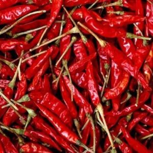 Dried Red Chili