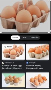 Country Eggs
