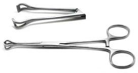 Stainless Steel 8 Inch Babcock Forceps