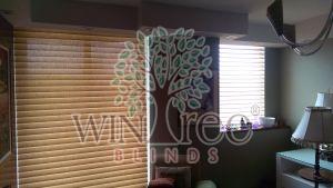 Triple Window Blinds