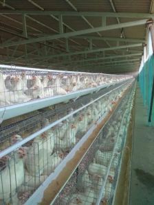 Layer Battery Cages Poultry Equipment