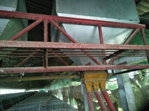 Poultry Feed Trolley System