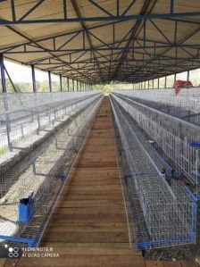 Steel Poultry Cages