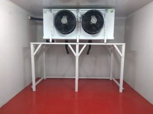 Blast Freezer & Chiller