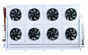 Blast Freezer & Chiller