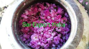 Rose Oil -Pure and Natural (Organic Rose Oil)