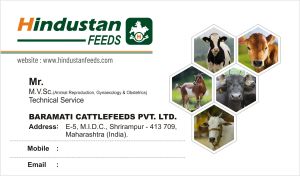 Visiting Card Printing Service