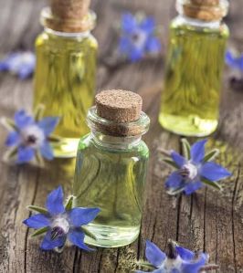 Borage Oil