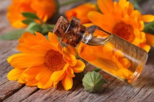 Calendula Officinalis Oil