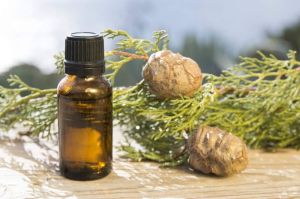 Cypress Oil