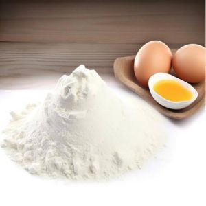 Egg Albumen Powder
