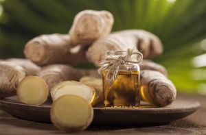 Ginger Oil
