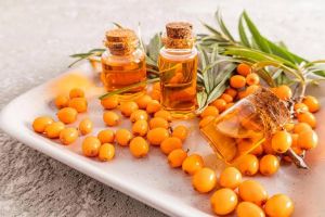 Seabuckthorn Oil