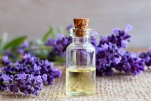 Lavender Oil Kashmiri