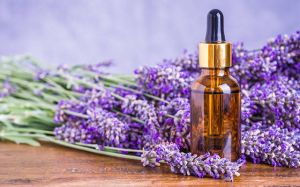Lavender Oil Kashmiri