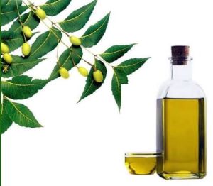 neem oil
