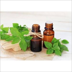 Basil Oil
