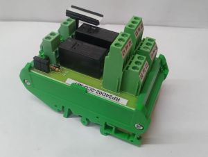 Relay Module RP24D02-2CO-M/P