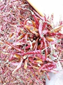 Guntur Teja Fatki Red Chilli