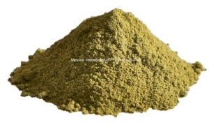 Tinospora Cordifolia Extract