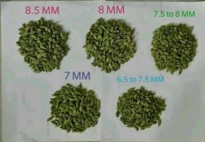 Cardamom Seeds