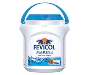 Fevicol Adhesive