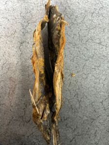 Dried Cat Fish