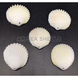 6mm White Mermaid Seashell