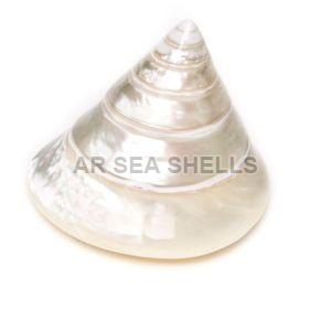 White Mother Pearl Conical Pyramid Seashell