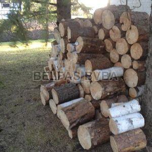 Birch Firewood Logs