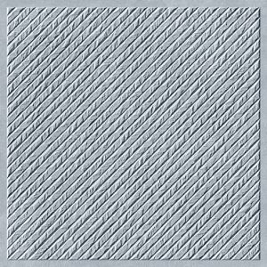 22001 D Digital Vitrified Parking Tile