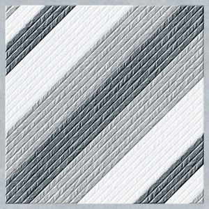 22010 Digital Vitrified Parking Tile