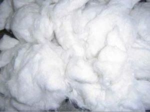 pure raw cotton