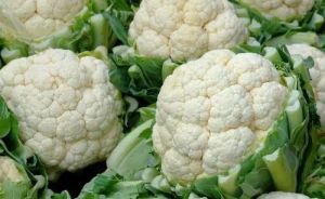 Fresh Cauliflower