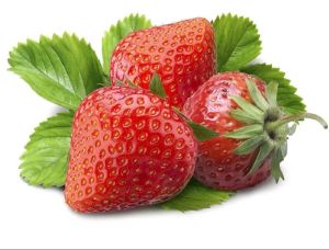 Fresh Strawberry