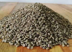 Arabica Dry Parchment Coffee Beans