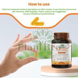 Cordymune 500mg Capsules