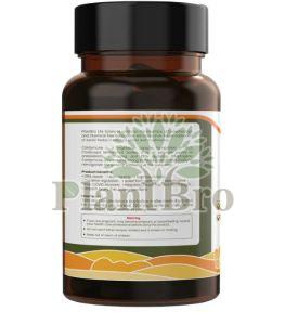 Cordymune 500mg Capsules