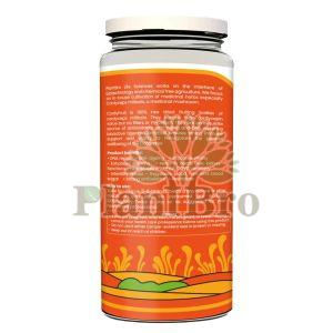 Cordyfruit Powder