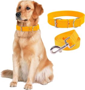 Dog Neck Belt