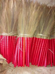 Parrots grass brooms 1DN