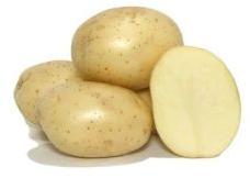 Atlantic Potato